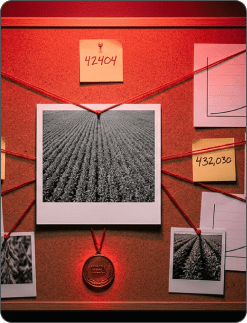 A NOVA REVOLUÇÃO DA SOJA